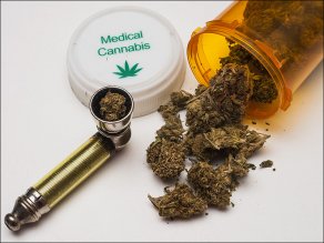 zastosowanie medycznej marihuany